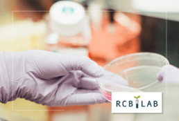 RCB s.r.l. Ricerche Chimiche e Biochimiche